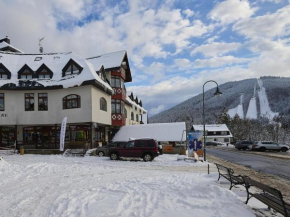 Apartment Harrachov 613-2 by Interhome, Harrachov